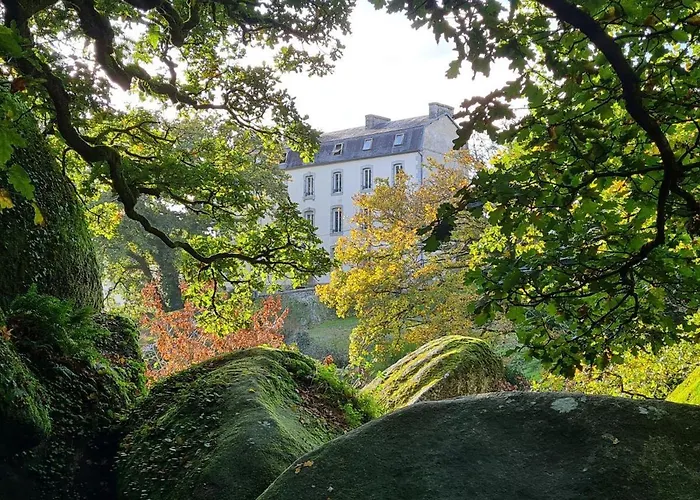 Vue Imprenable Sur Le Moulin Du Chaos !
